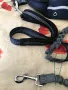 Каишка за куче / Разхождайте и тичайте с Вашето куче със свободни ръце /, снимка 5