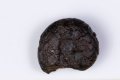Амонит заместен с хематит 3.6g 17mm #12, снимка 1 - Други ценни предмети - 43468371