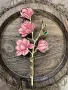 Дървени, персонализирани цветя магнолия и лале 26 - 26,5см, снимка 1