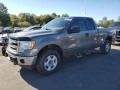 Ford F-150 2014 3.5 ecoboost, снимка 1