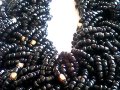 много красиви колиета от естествена маниста, снимка 14