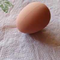 Изкуствени пластмасови яйца за кокошки тежки, снимка 12 - За птици - 40032040