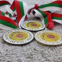 Лот 2 медала + плакет  Детски олимпийски игри , снимка 3 - Антикварни и старинни предмети - 16489630