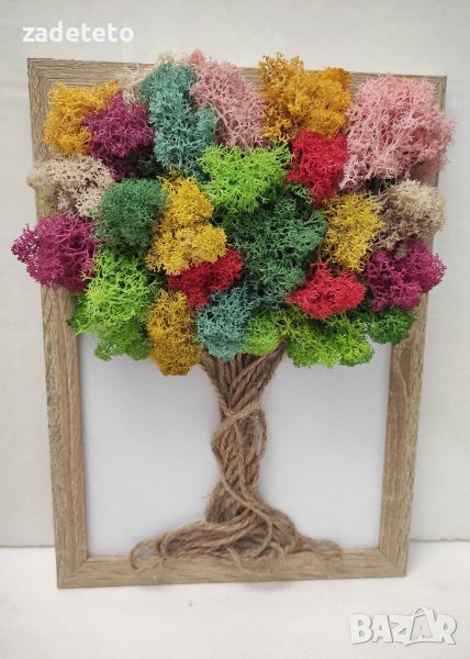 Дървото на живота със Скандинавски мъх , снимка 1