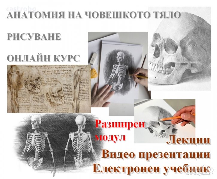 Анатомия на човешкото тяло - рисуване - разширен модул, снимка 1