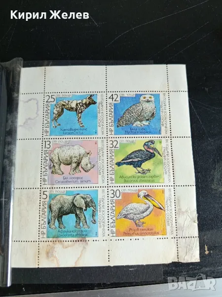Пощенски марки чисти 100г. ЗООЛОГИЧЕСКА ГРАДИНА СОФИЯ редки за КОЛЕКЦИОНЕРИ 46691, снимка 1