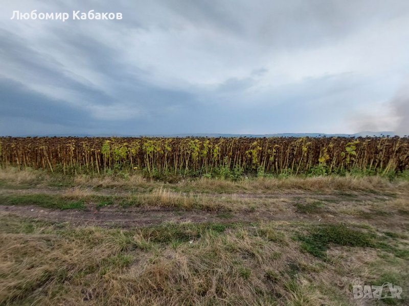 Парцел 7 дка с. Петърч, Софийска област, снимка 1