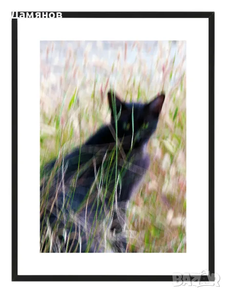 Авторски постери  Лимитирани серии  Размери по избор, снимка 1