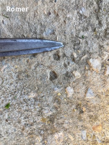 Стара ножица Bontgen & Sabin Solingen , снимка 5 - Антикварни и старинни предмети - 40567081