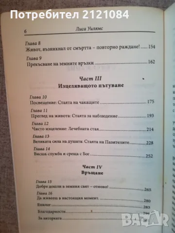  Животът на душата / Лиса Уилямс, снимка 4 - Художествена литература - 47844311