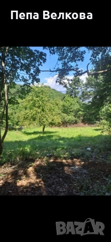 Дворно място в с.Ново Бърдо, снимка 8 - Парцели - 52254049