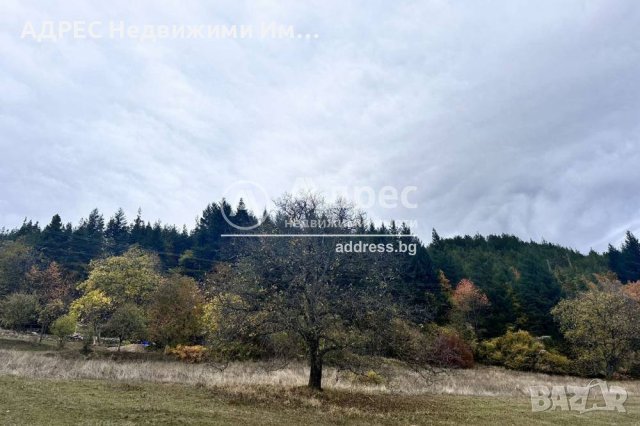 Парцел за застрояване в град Смолян , снимка 3 - Парцели - 43113141