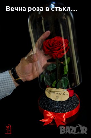 Вечна Роза (ЕСТЕСТВЕНА) в ГОЛЯМА стъкленица / Уникален подарък за рожден ден на жена, снимка 7 - Декорация за дома - 32673595