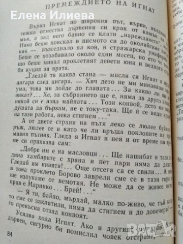 Село Борово - Крум Велков, снимка 4 - Българска литература - 26755452