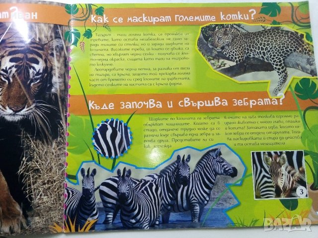 Енциклопедия със стикери "Как се маскират животните", снимка 3 - Детски книжки - 38926085