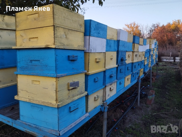 Магазини 10 рамкови, снимка 4 - За пчели - 52260248