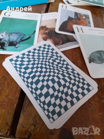 Стари карти за игра Котки, снимка 5 - Други ценни предмети - 43427771