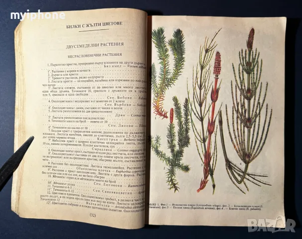 Стара Книга Разпознаване и Събиране на Билки / Борис Китанов, снимка 4 - Специализирана литература - 49528287