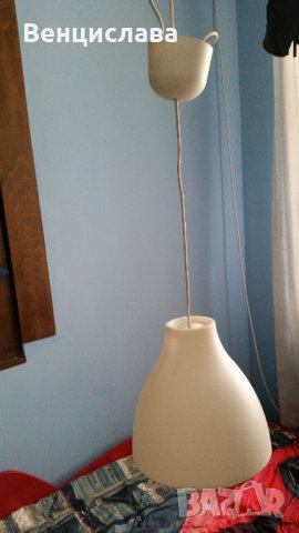 Полилей с едно гнездо, снимка 3 - Полилеи - 32602980