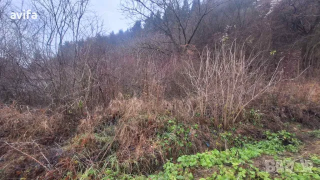 Имот в село Голема Раковица