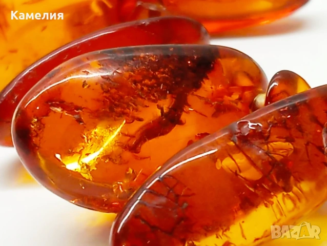 Кехлибар , снимка 5 - Колиета, медальони, синджири - 53367433