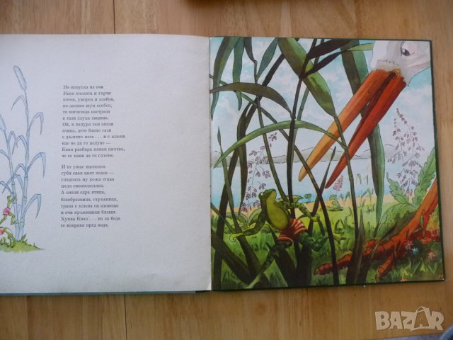 Кряк и Квак Лайош Ихас жабки жабешки истории жаби жабета    , снимка 3 - Детски книжки - 37480890