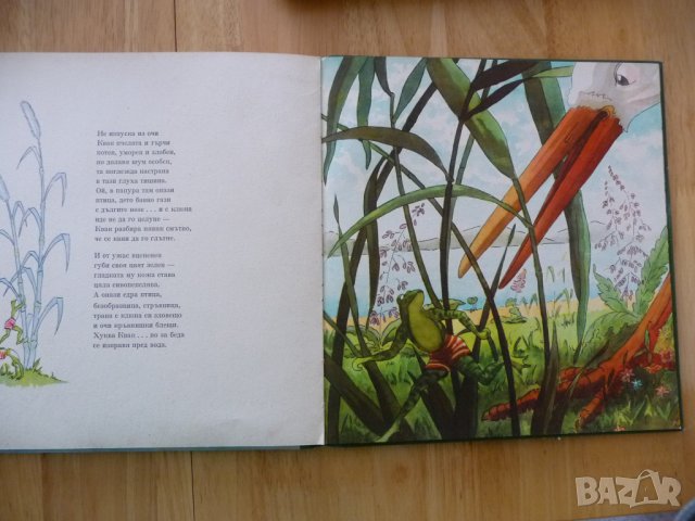 Кряк и Квак Лайош Ихас жабки жабешки истории жаби жабета    , снимка 3 - Детски книжки - 37480890
