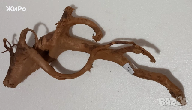 Корен от Азалия /декорация/ 41, снимка 2 - Други - 49874666