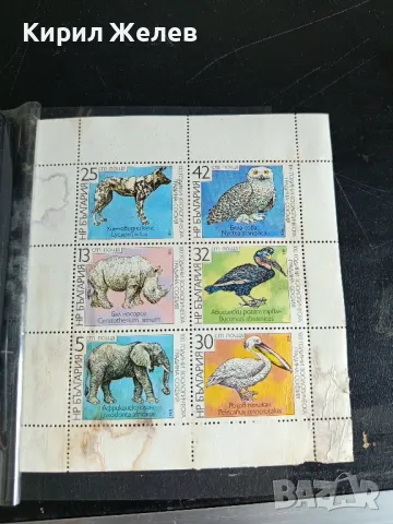 Пощенски марки чисти 100г. ЗООЛОГИЧЕСКА ГРАДИНА СОФИЯ редки за КОЛЕКЦИОНЕРИ 46691