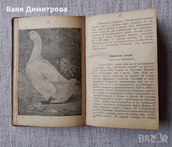 Птицевъденъ календаръ за 1908 год., снимка 3 - Други - 53473079