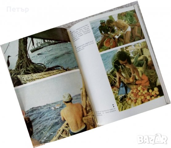 ФАР от 1973г.Научен алманах, снимка 5 - Енциклопедии, справочници - 35607485