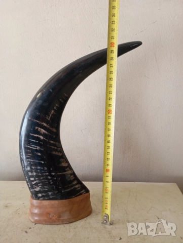 Рог за декорация, снимка 3 - Други ценни предмети - 51519882