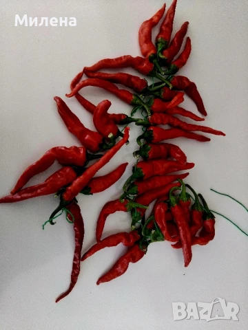 Люти чушки/низани, снимка 1