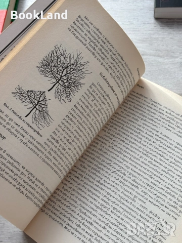 Календар на градинаря – Симеон Дочев , снимка 16 - Други - 53295824