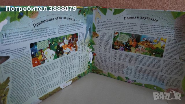 Детска книга със звуци " Горите около Екватора ", снимка 4 - Детски книжки - 43739523