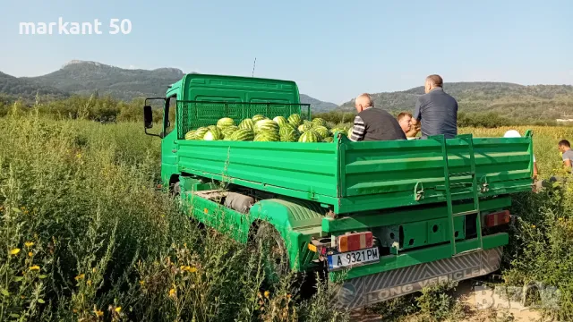 Услуги с Багер , снимка 4 - Други услуги - 27416478