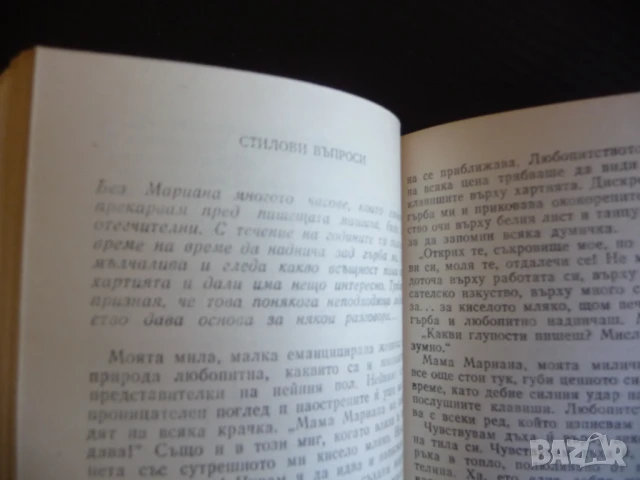 Да живее майката! Вили Брайнхолст мама най-важна на света грижи за всички, снимка 3 - Други - 51145741