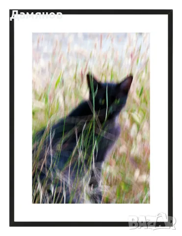 Авторски постери  Лимитирани серии  Размери по избор