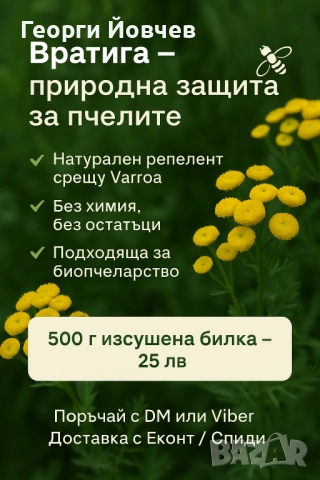 Вратига - билка против акар по пчелите, снимка 2 - За пчели - 51569439