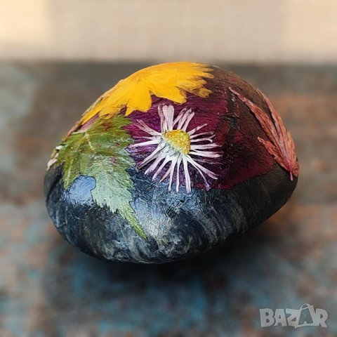 Преспапиета -- хербарии върху камъни, снимка 14 - Други - 43854706