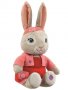 Peter Rabbit - Lily , снимка 1 - Плюшени играчки - 32366022