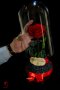 Вечна Роза (ЕСТЕСТВЕНА) в ГОЛЯМА стъкленица / Уникален подарък за рожден ден на жена, снимка 7