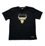 NBA Chicago Bulls T-shirt , снимка 1