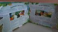 Детска книга със звуци " Горите около Екватора ", снимка 4