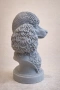 Poodle Bust / Пудел бюст, снимка 3