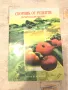 Сборник от рецепти  Природолечение, снимка 1