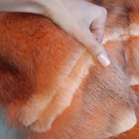Палто с естествен косъм от норка и сребърна лисица, снимка 6 - Палта, манта - 44032002