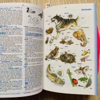 Речник - Oxford Wordpower Dictionary for learners of English, CD - 794 стр. Състояние отлично, 60 лв, снимка 3 - Учебници, учебни тетрадки - 40013965