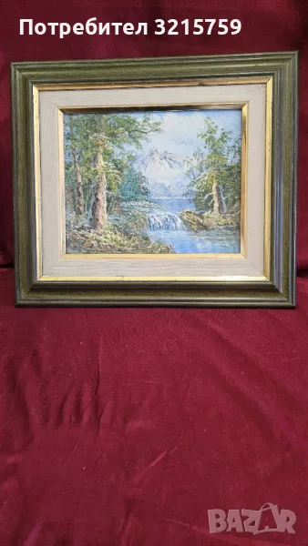 Красива картина масло , платно 40х34см., снимка 1