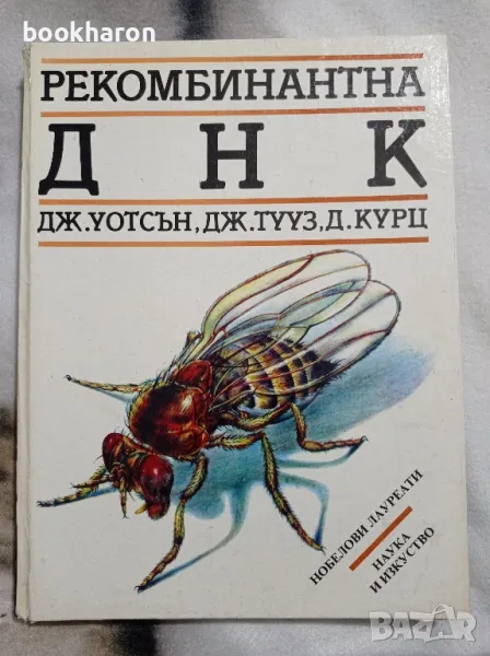 Рекомбинантна ДНК, снимка 1